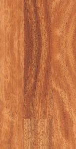 Características y propiedades de la madera de Elondo